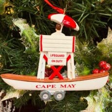 Cape May Lifeguard Stand & Boat - Winterwood Exclusive!