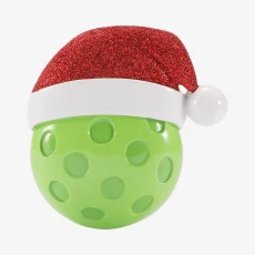 Pickle Ball Ornament
